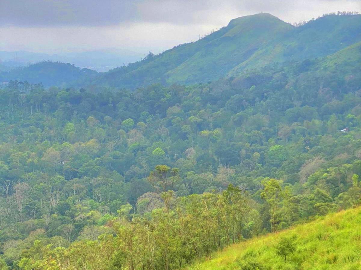 The Windy Mist Resort Munnar Chinnakanal Bagian luar foto